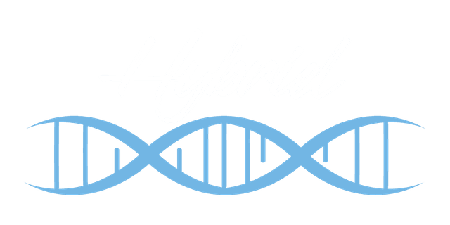 HYBRID