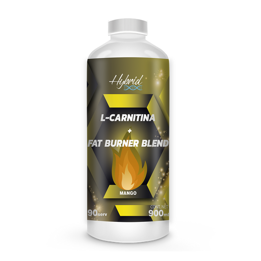 L-CARNITINA FAT BURNER