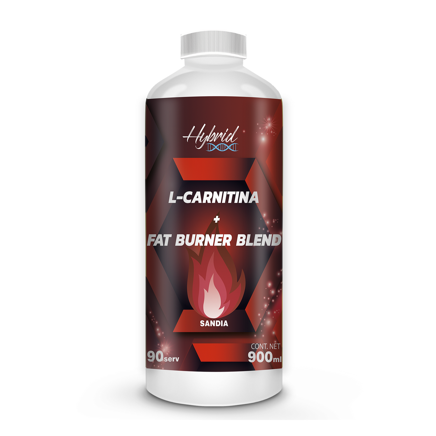 L-CARNITINA FAT BURNER