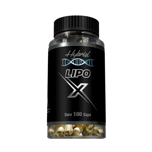 LIPO X